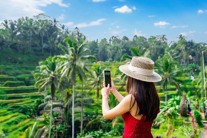 Ultimate Ubud Experience All Inclusive Private Day Tour - Is the Price Actually a Good Deal?