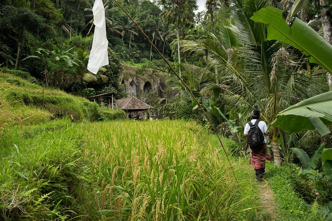 UNESCO Sites Cultural Walking Tour in Bali - Stop 1 at Tirta Empul Temple: what the purification ritual is really like