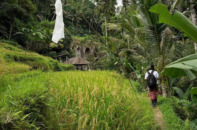 UNESCO Sites Cultural Walking Tour in Bali - Getting picked up in Ubud: timing and group size in plain terms