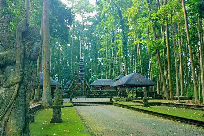 Unique Cleansing Ceremony with Locals - Sangeh Monkey Forest: Grey Long-Tailed Macaques and Common Sense Rules