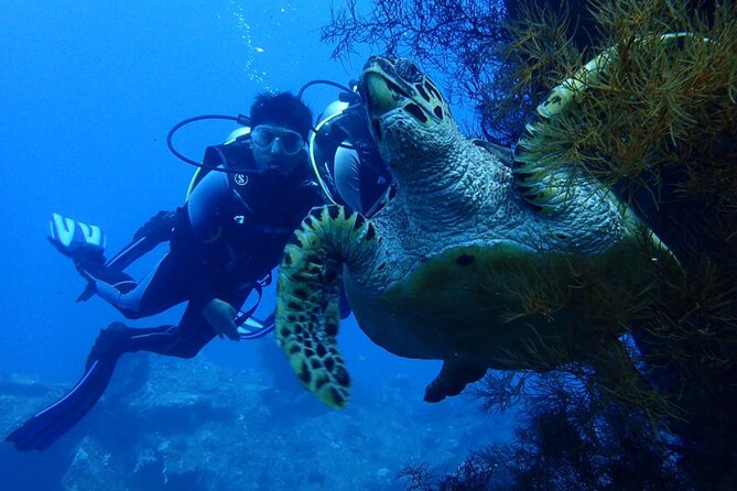 USS Liberty Shipwreck Scuba Diving at Tulamben Bali - Price and what you get for $109.50