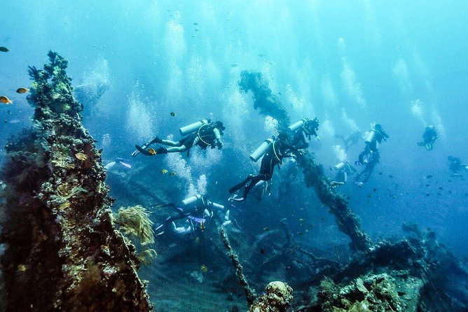 USS Liberty Shipwreck Scuba Diving at Tulamben Bali - Underwater session #2: coral, macro critters, and more fish time