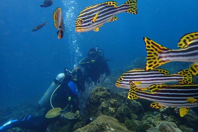 USS Liberty Shipwreck Scuba Diving at Tulamben Bali - The break between sessions: Balinese lunch by the beach