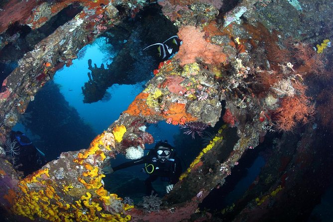 USS Liberty Shipwreck Scuba Diving at Tulamben Bali - Extra photos, underwater camera rentals, and the cost trap