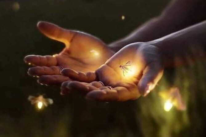 VIllage Firefly Night Tour - Ubud Bali - Key Points at a Glance