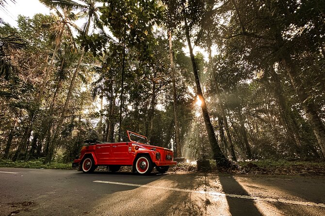 Vintage Volkswagen Bali Tour - Tirta Empul Temple: Spring Water and the Purification Ritual