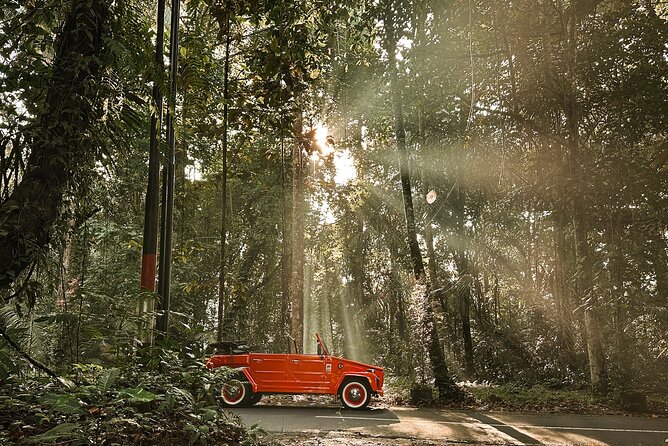 Vintage Volkswagen Bali Tour - Delodsema Traditional Village, Tegallalang: Homes, Crafts, and Local Interaction