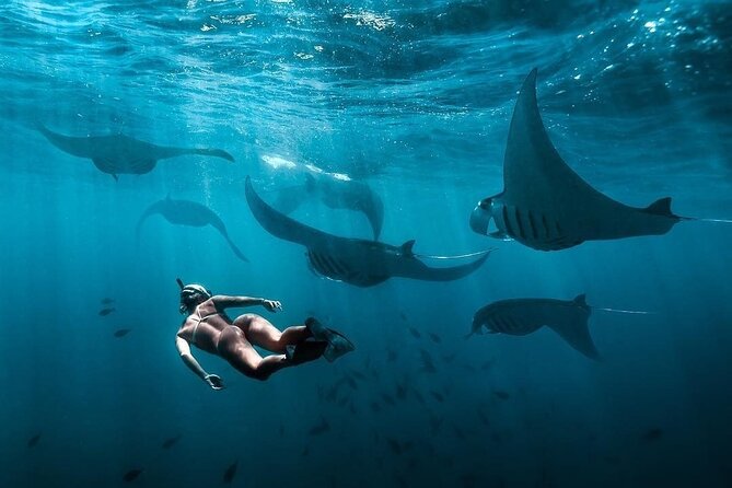 VIP Private Boat to Nusa Penida: Snorkeling with Mantas + Land Tour Adventure - Crystal Bay swim: the calmer, palm-tree break
