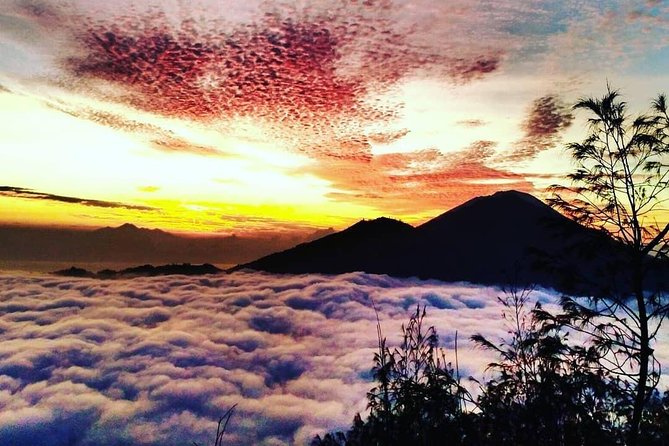 Watch the sunrise from the top of Mount Batur volcano - The coffee plantation stop: a nice breather after the mountain
