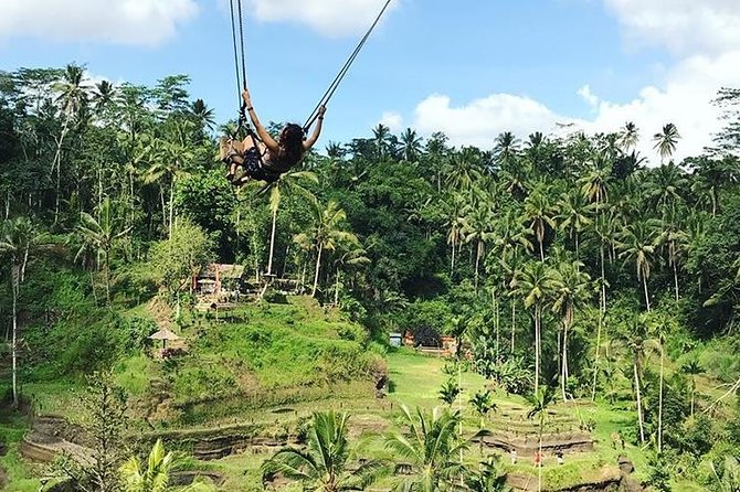 Water Rafting adventure with Jungle Swing & rice terraces - Happy Swing Bali: Jungle Swing Energy Without Making It Complicated