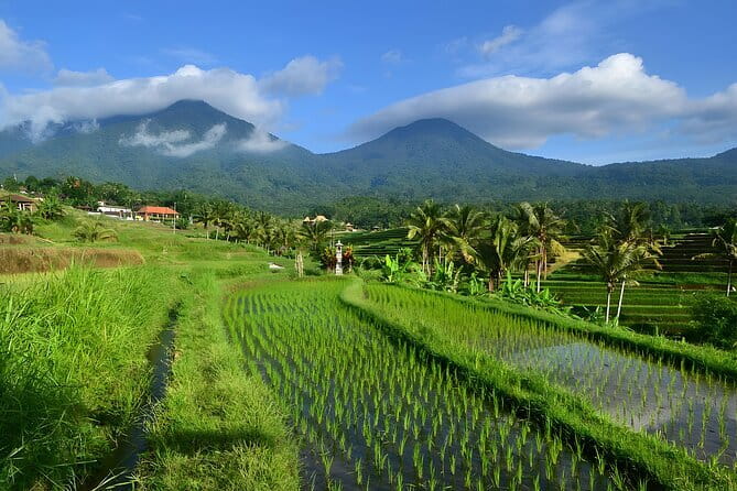 Waterfall Tour: North Bali Best Waterfalls - Stop 3: Leke Leke Waterfall for Photos and Drone Video