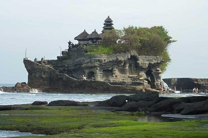 West Nusa Penida Day Trip - Price and Logistics: What $82.14 Really Buys You