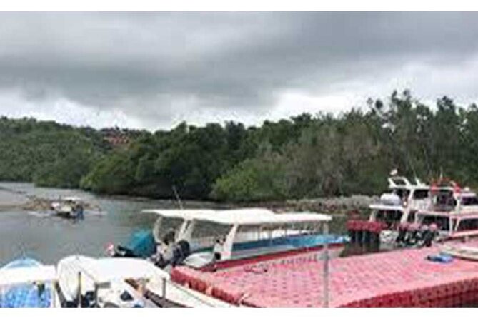 West Nusa Penida Full-Day Private Tour - Private car + English-speaking driver: the hidden comfort