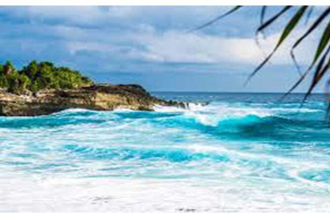 West Nusa Penida Full-Day Private Tour - Price and logistics: what $99 actually buys you