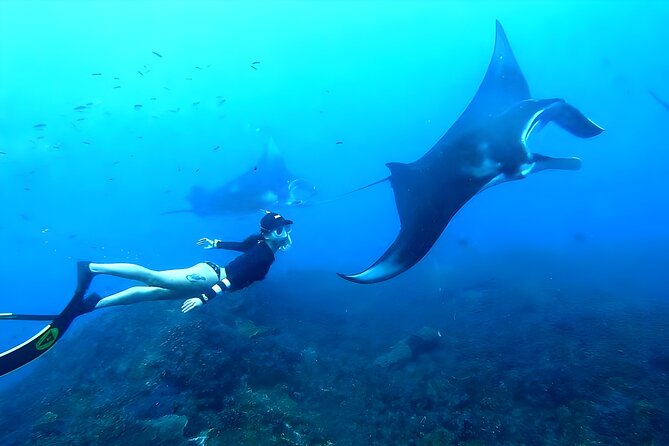 West Nusa Penida Island Snorkeling Tour - From Bali Island - Key things I’d plan around before you go