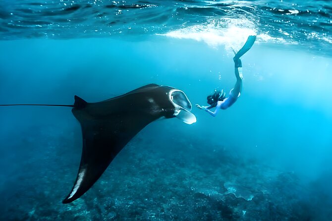 West Nusa Penida Island Snorkeling Tour - From Bali Island - Why West Nusa Penida feels like a full-day payoff