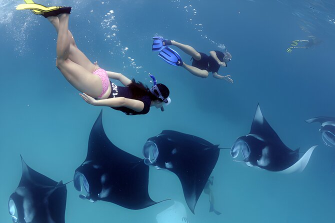 West Nusa Penida Island Snorkeling Tour - From Bali Island - Snorkeling stops that fit different moods: coral, mantas, and turtles
