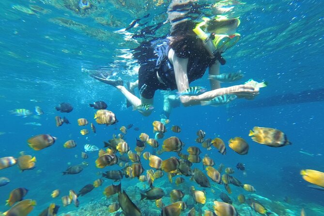 West Nusa Penida With Snorkeling Private Guided Tour - Key takeaways before you go