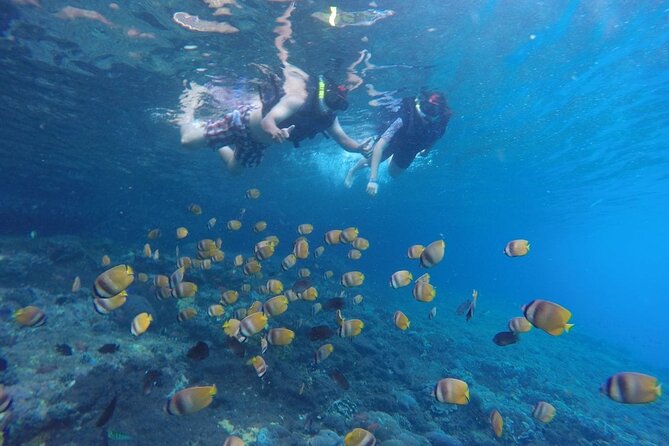 West Nusa Penida With Snorkeling Private Guided Tour - Manta Point snorkeling: the main event, built for wildlife spotting