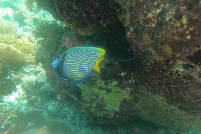 West Nusa Penida With Snorkeling Private Guided Tour - Broken Beach: the cave-and-waves scene that hits different