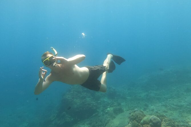 West Nusa Penida With Snorkeling Private Guided Tour - Lunch, young coconut, and keeping energy up