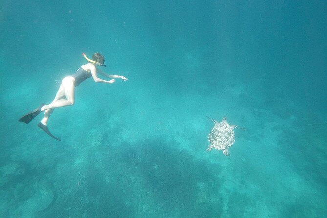 West Nusa Penida With Snorkeling Private Guided Tour - Gamat Bay and Crystal Bay: coral, fish-feeding, and turtle odds