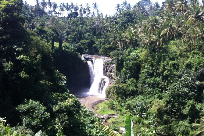 Wonderful Of Ubud Tours - Goa Gajah (Elephant Cave): temple atmosphere in about an hour