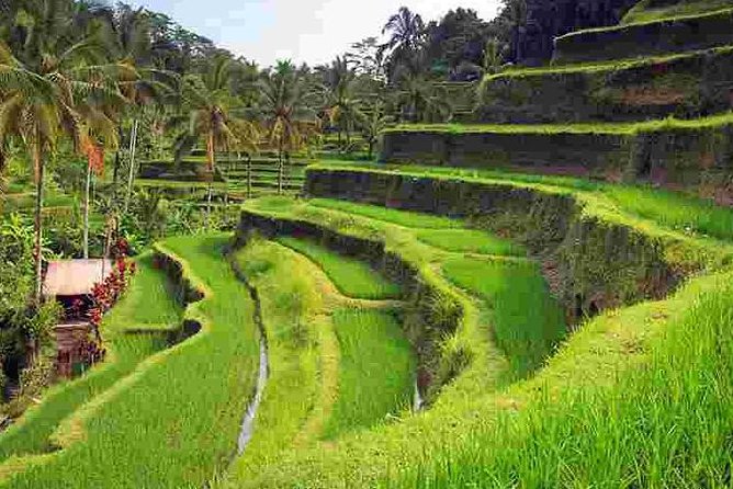 Wonderful Of Ubud Tours - Tegenungan Waterfall: two hours for a big, scenic pause